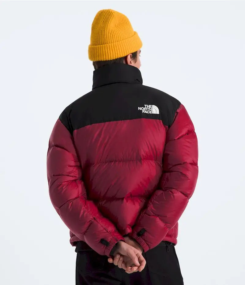 Campera The North Face Retro