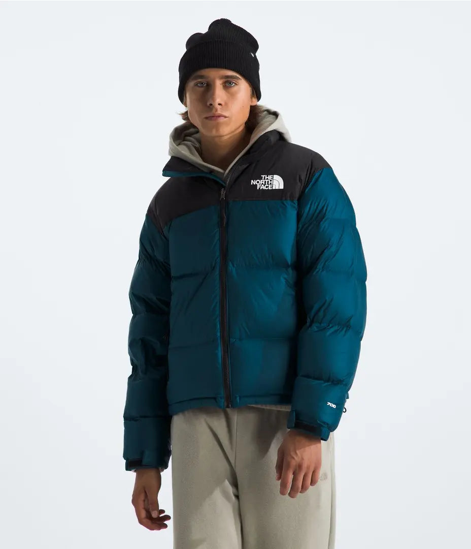 Campera Puffer The North Face