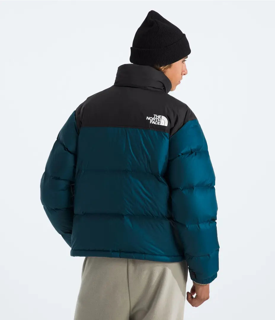 Campera Puffer The North Face